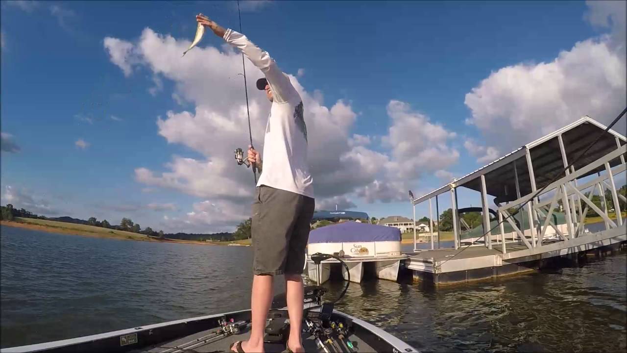 Deep Cranking and Ned Riggin Cherokee Lake S2E12 YouTube