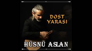 Hüsnü Aslan - Dost Yarası  Resimi