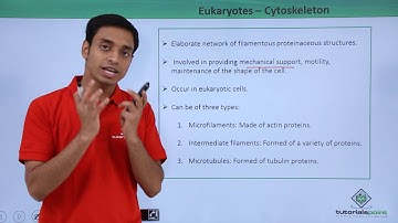 Class 11th - Eukaryotes – Cytoskeleton | Cell: The unit of Life | Tutorials Point