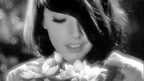 The Outer Limits. Ep: ZZZZZ.