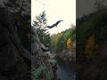 INSANE 70+ Foot Cliff Jump #cliffjumping
