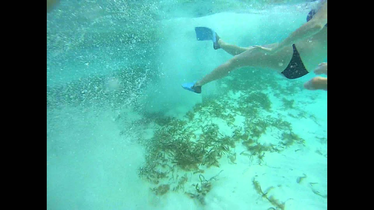 Snorkeling Caye Caulker, Belize YouTube