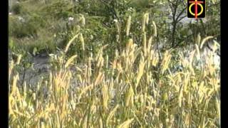 Mouna Tabbitu Nelava  (Bhavageethe) - ಮೌನ ತಬ್ಬಿತು ನೆಲವ