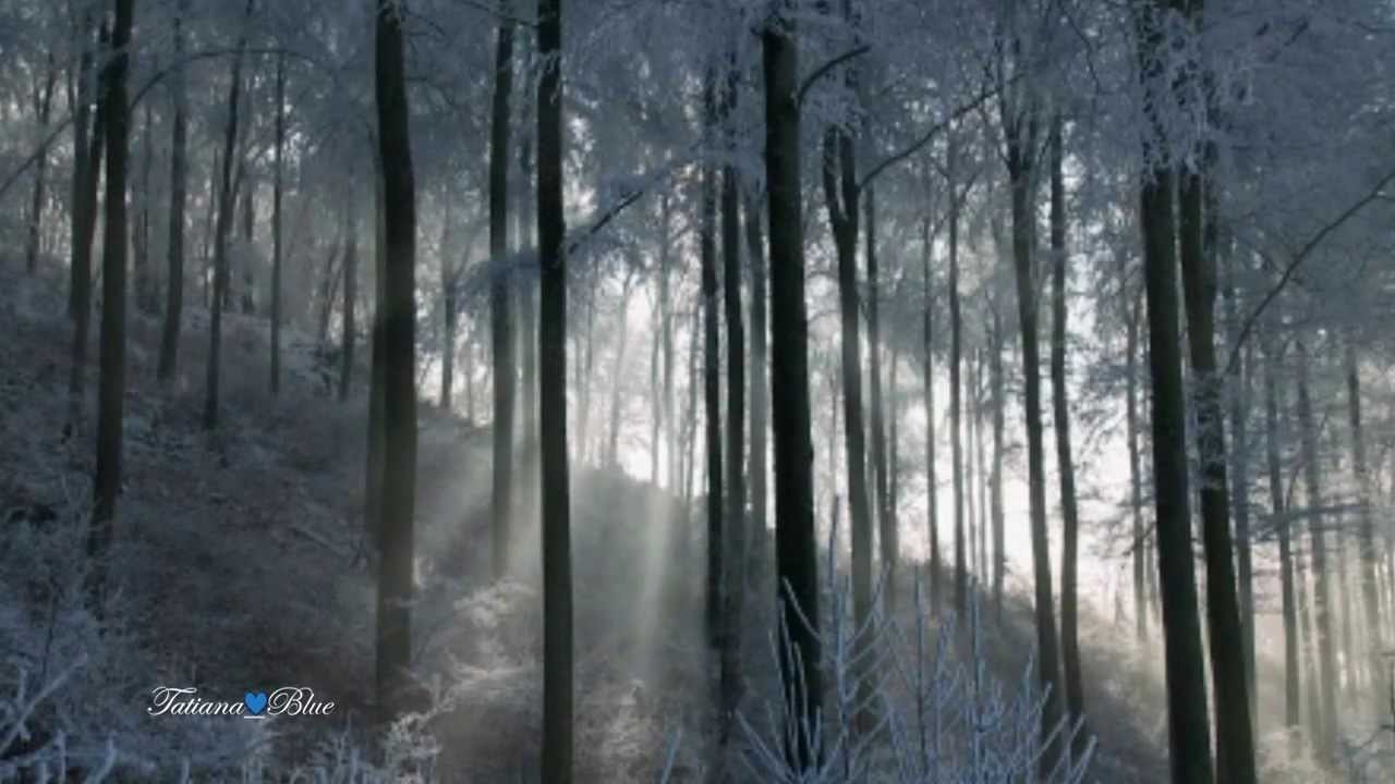 Watch André Rieu - When Winter Comes... on YouTube Watch André Rieu - When Winter Comes... on YouTube