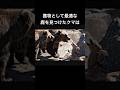 鹿を助けたクマの優しさが泣ける