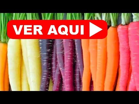 Video: Zanahorias Amarillas