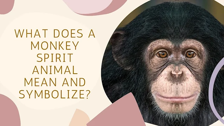 猴子精靈動物的象徵意義和影響