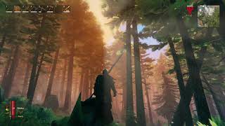 Valheim Sun rays coming through the Back Forest trees