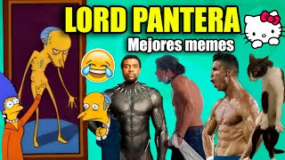 LORD PANTERA | MEJORES MEMES 😂😂 [Soy una pantera!]