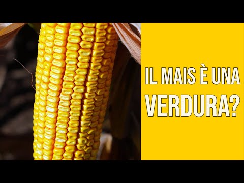 Video: Il Mais è Una Verdura?