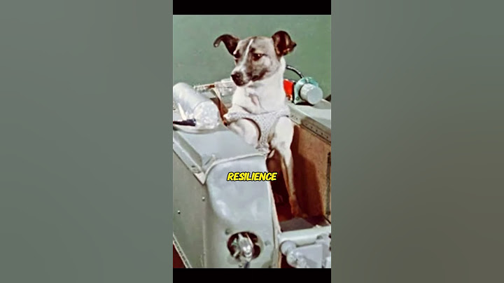 Laika - A Heroic Pioneer in Space. #history