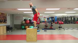 Pause Box Jump with Step Down