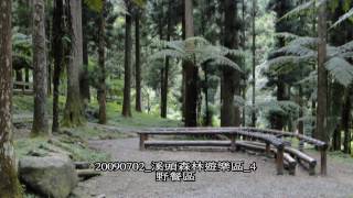 20090702 溪頭森林遊樂區 4 野餐區