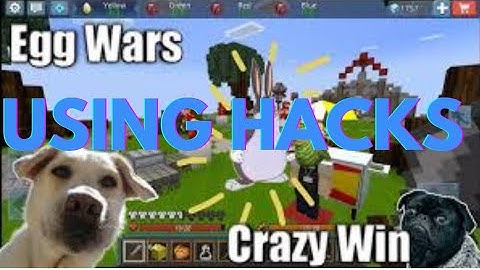 USING HACKS IN BLOCKMAN GO EGGWARS | HINDI/URDU