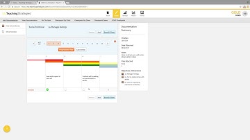 Entering Documentation on My Teaching Strategies