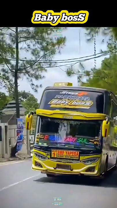 MODUL DAV MIX || BABY BOS #telolet #basuri #shorts