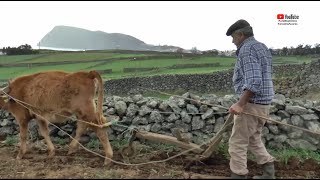 LAVRAR TERRA MODA ANTIGA COM MANUEL CÂMARA E JOSÉ TOSTE