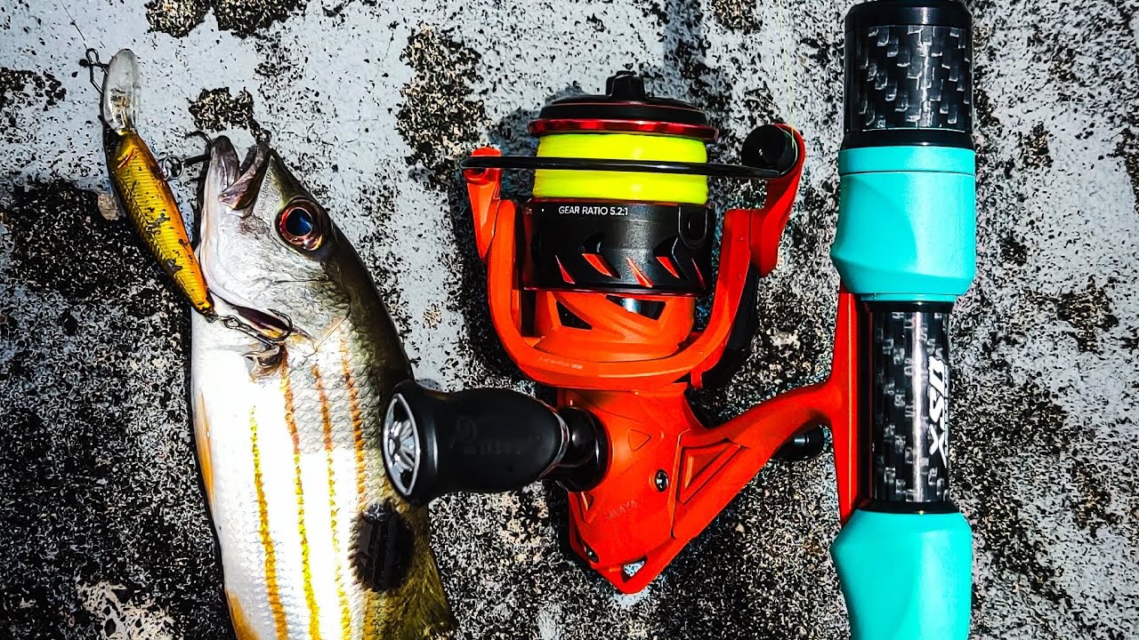 Mancing NGOYOR ,!! Dengan Joran Andalan Captain Guppy Candy 