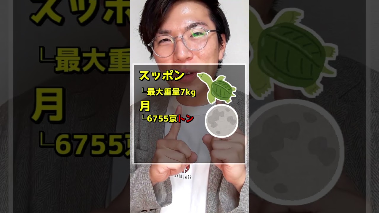 月とすっぽんって実際どれくらい違う？ - YouTube