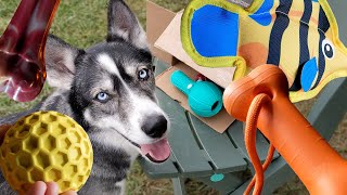 Durable Dog Toys for Aggressive Chewers! by Paw Record 310 views 4 months ago 2 minutes, 5 seconds