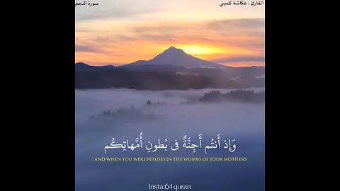 القارئ عكاشه كميني 🌺🥀