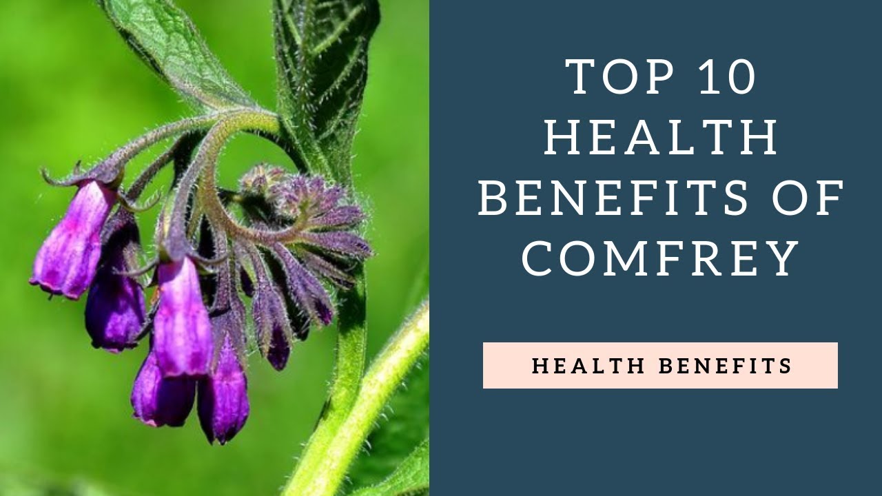 Top 10 Health Benefits of Comfrey - YouTube