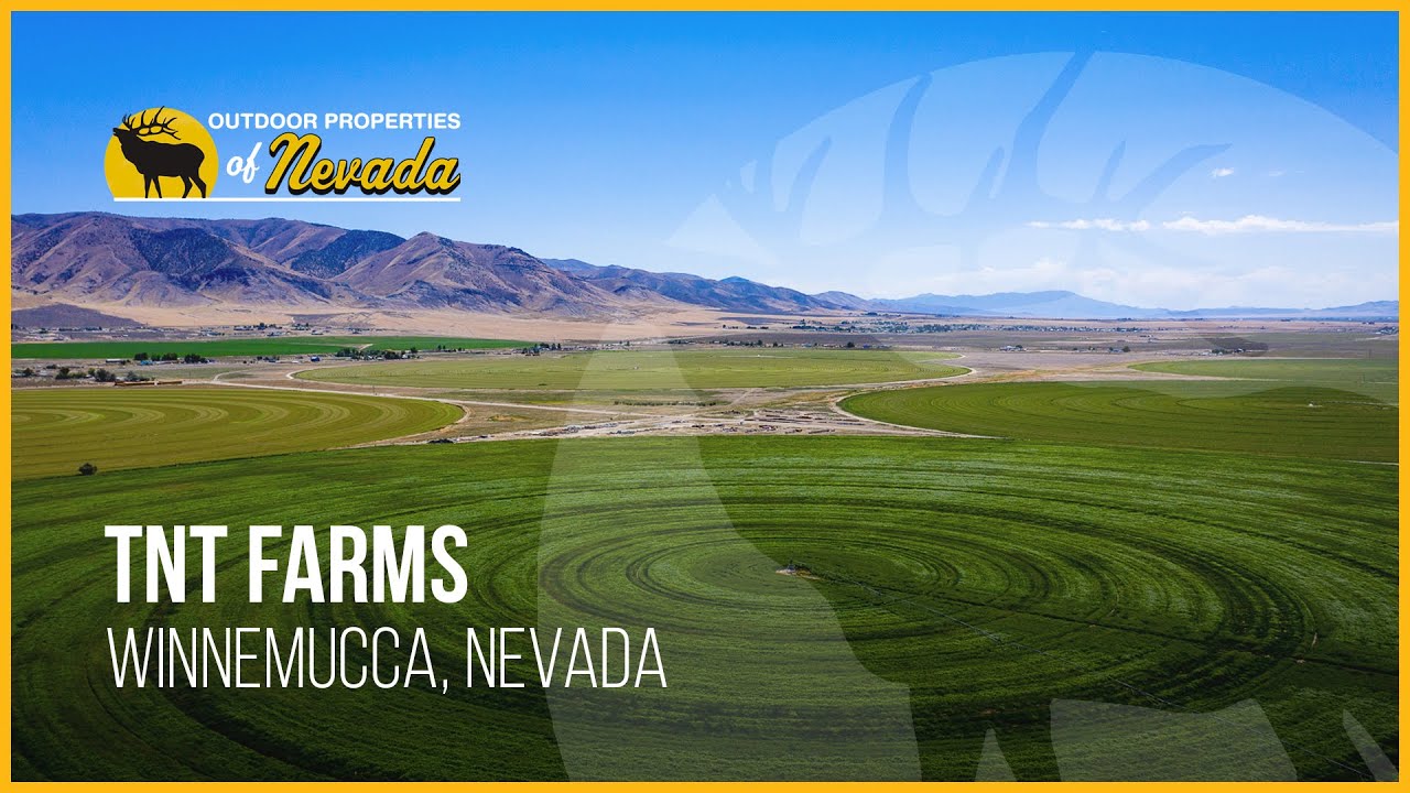 TNT Farms Winnemucca, NV YouTube