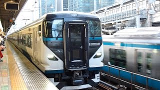 2019/09/30 JR East Tokaido Line: Test Run of E257 Series NA-03 Set at Tokyo