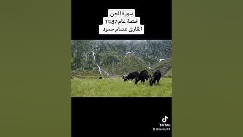 سورة الجن. ختمة عام 1437 #القارئ_عصام_حمود