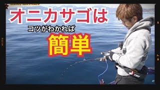 攻略 オニカサゴ歴８年が教える鬼カサゴの釣り方 オニカサゴ釣り 鬼カサゴ 釣り方 Youtube