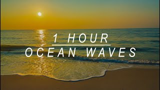 Ocean Waves Crashing - Relaxing Sounds - Calming Relaxation Music For Sleeping - 1 Hour #089