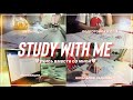 STUDY WITH ME/ учись со мной/ часовое видео для мотивации на учёбу/ готовлюсь к ЕГЭ