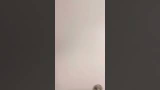 Hilton Garden Inn Wilsonville Review