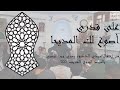 على قدري أصوغ لك المديحا حفل المولد النبوي 1444 بحضور د يسري جبر أدهم هاني 