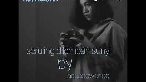 Seruling Di Lembah Sunyi# cover by aquadowondo
