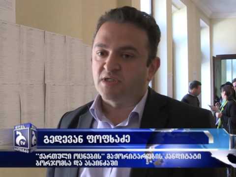 \"ხმა მივეცი თავისუფლებას, სწრაფ განვითარებას და მოქალაქეთა კეთილდღეობას\"-გედევან ფოფხაძე