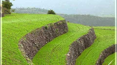 مصحف الشيخ عبدالله عواد الجهني - سورة  AlFurqan_الفرقان