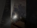 Full moon 5/1/26