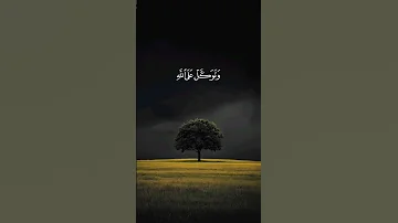 وتوكل على الله وكفى بالله وكيلا اسلام صبحي 