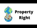 What are property right  environmental economics  ecoholics