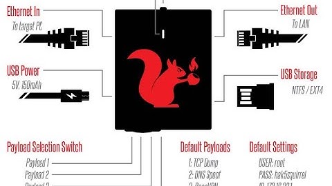 Active Scanning with Packet Squirrel