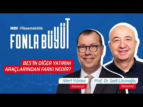BES’in Diğer Yatırım