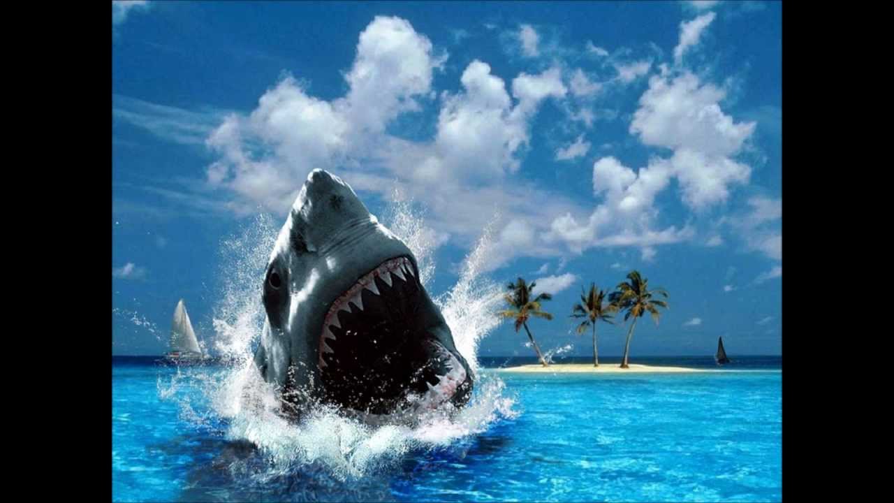 Kaskade Ft. Neon Trees - Lessons in Love (HLM Remix) (HD)