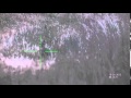 Atn xsight fox not fooled by decoy actual footage