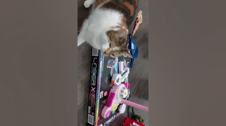 Watch the video about Funniest Cat videos of 2022 – Best and Funny Cats HD devil cat?