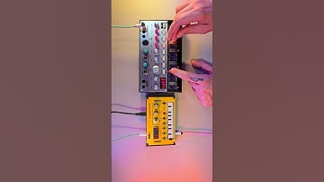 Korg Volca Bass into NTS-1 for Reverb and Delay