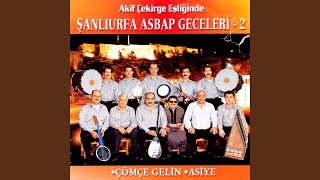 Ağarmış Saçların