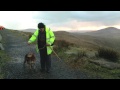 Shandon The Beagle Dog is saved on Valentia Island Ireland