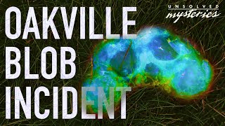 It Rained Blood Cells from the Sky | The Oakville Blob Incident