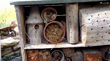 Comment faire un bon jardin potager ?